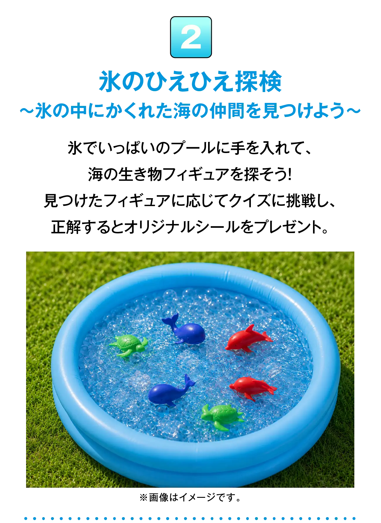 氷のひえひえ探検～氷の中にかくれた海の仲間を見つけよう～